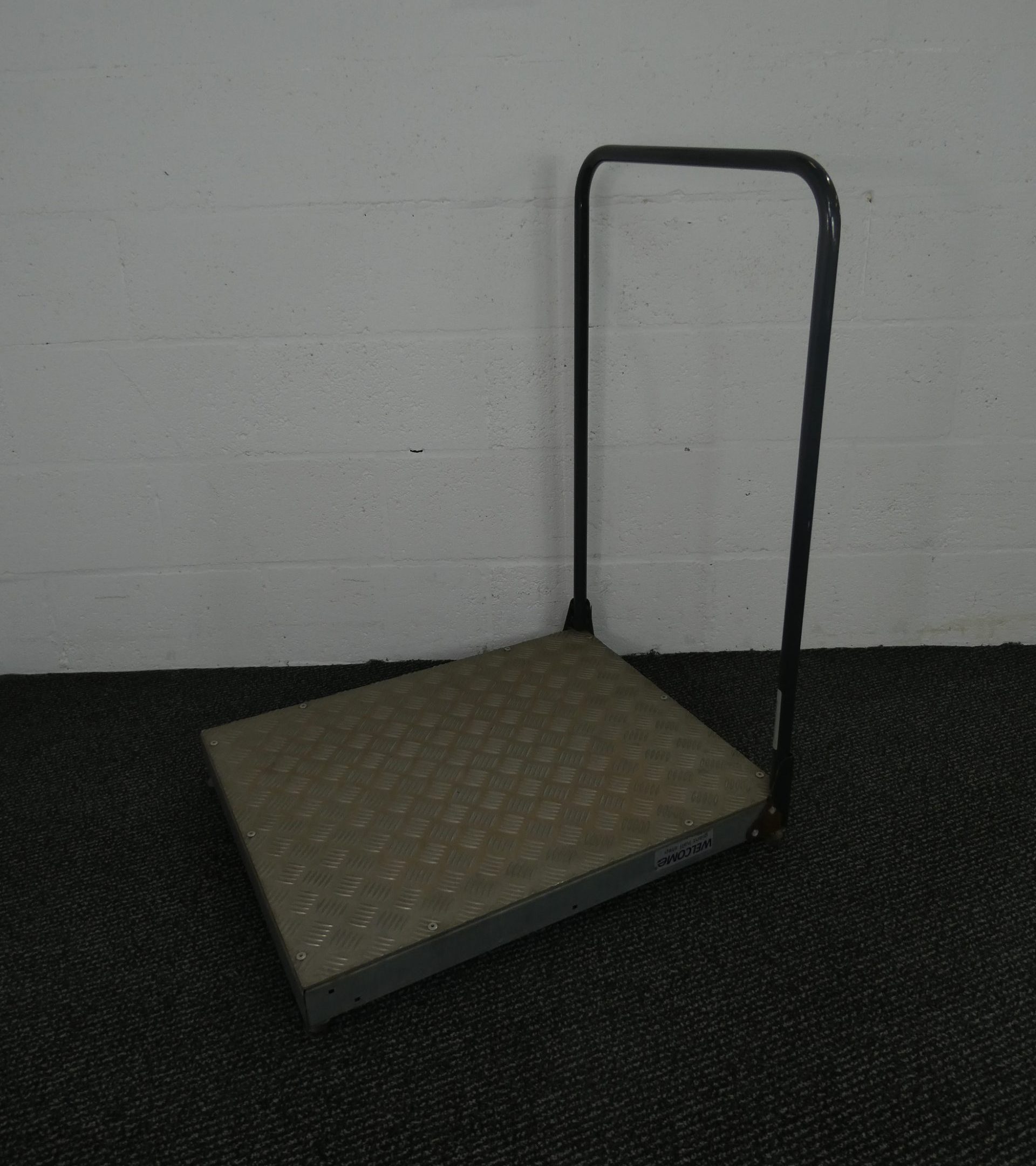 Step - Welcome Giant Half Step with Handrail