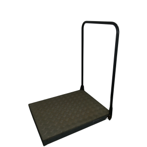 Step - Welcome Giant Half Step Large with Handrail